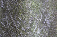 Hawkeridge fibreglass roof work